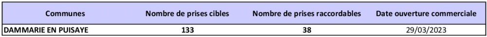 Tableau des prises raccordables DAMMARIE EN PUISAYE